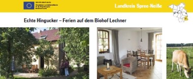 lechner Jahrbuch web